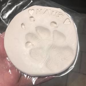 Meet your Posher, Vannessa